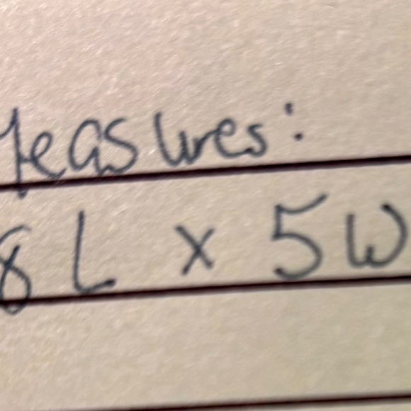 Lily Pulizer and Estee Lauder Cosmetic bag - Picture 6 of 6